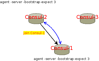 consul-cluster-auto-2-server-join