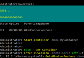 Windows Server Containers を PowerShell で操作する #windows #docker